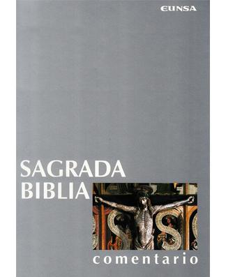 Biblia de Navarra, Comentarios (Navarre Bible, Commentaries)