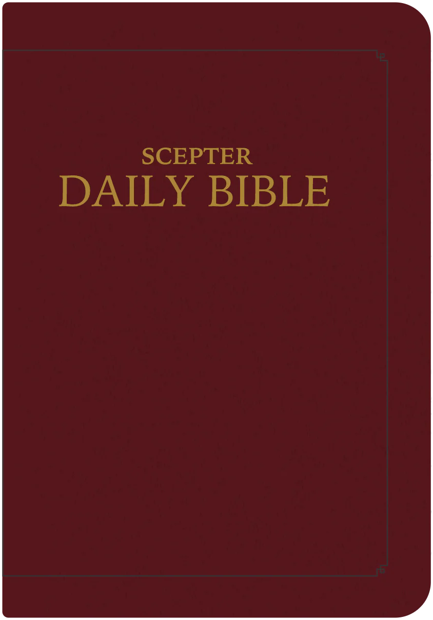 Scepter Everyday Bible (RSVCE, Simulated Leather) - Image 10