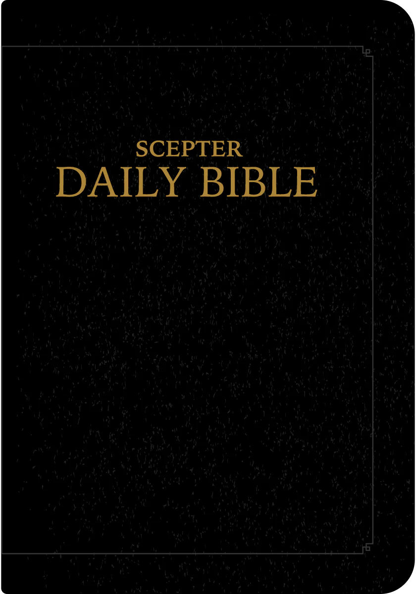 Scepter Everyday Bible (RSVCE, Simulated Leather) - Image 9