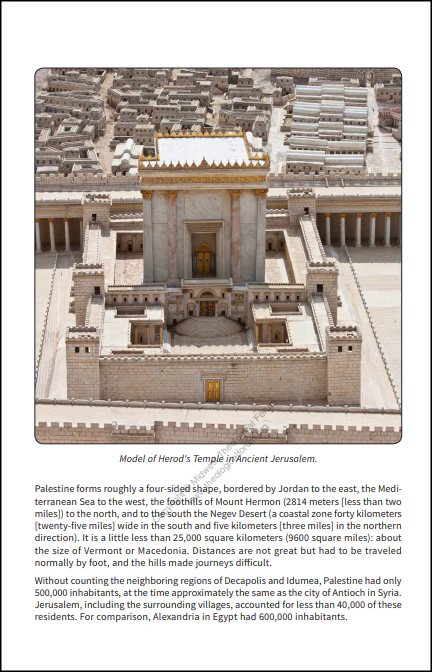 Life of Jesus - Image 3