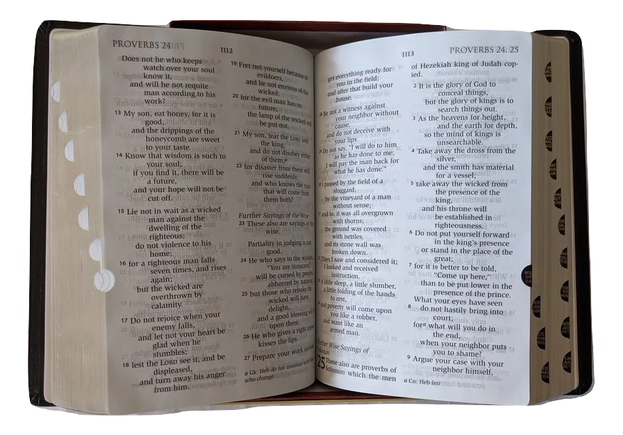 RSV Catholic Bible, Large Print Edition Indexed - Image 3